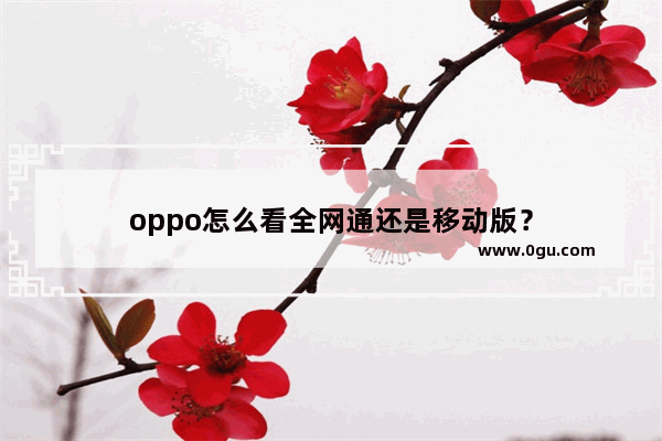 oppo怎么看全网通还是移动版？