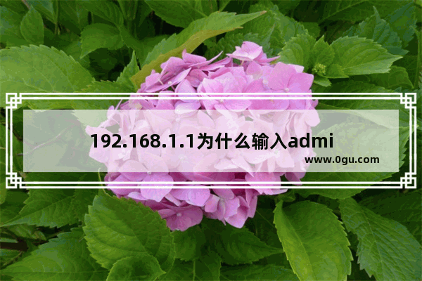 192.168.1.1为什么输入admin进不去