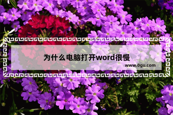 为什么电脑打开word很慢