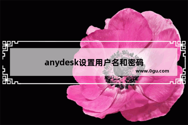 anydesk设置用户名和密码