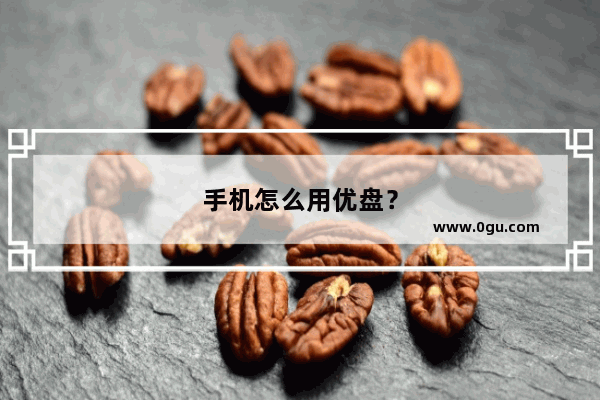 手机怎么用优盘？