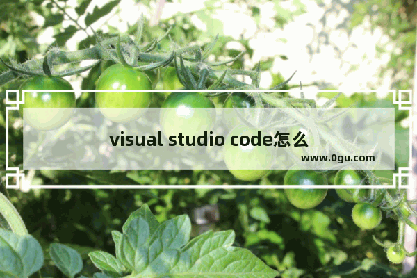 visual studio code怎么创建html visual studio code创建HTML的方法