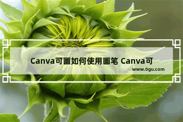 Canva可画如何使用画笔 Canva可画使用画笔的方法