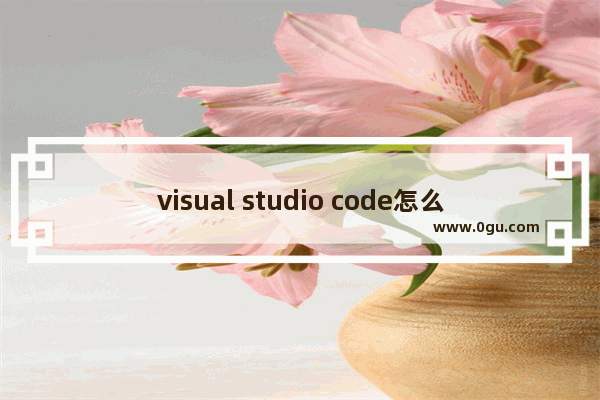 visual studio code怎么把字体变大 visual studio code修改字体大小的方法