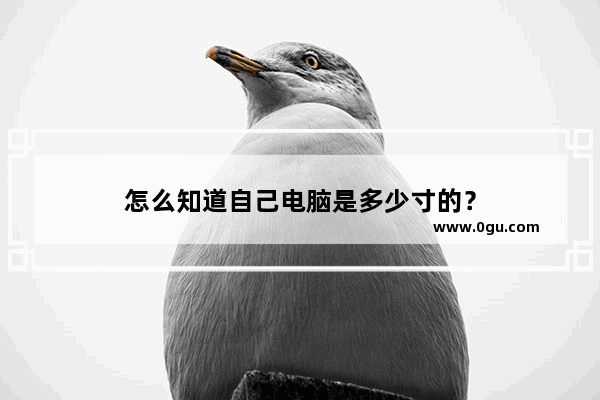 怎么知道自己电脑是多少寸的？