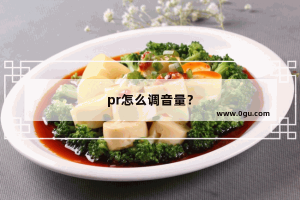 pr怎么调音量？