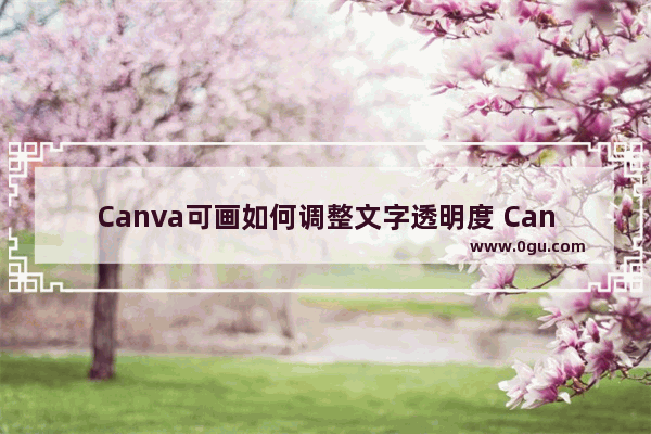 Canva可画如何调整文字透明度 Canva可画调整文字透明度的方法