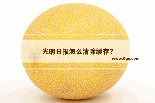 光明日报怎么清除缓存？