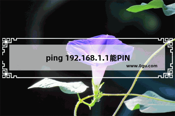 ping 192.168.1.1能PING通19216811但为什么进不去