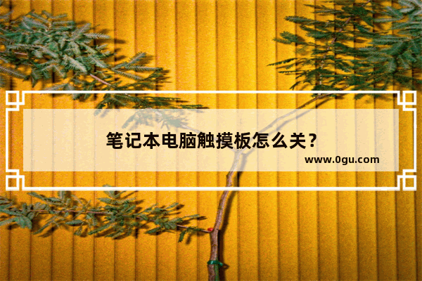 笔记本电脑触摸板怎么关？