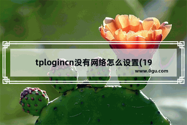 tplogincn没有网络怎么设置(192.168.1.1没有设置向导)