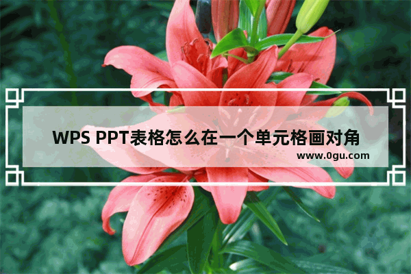 WPS PPT表格怎么在一个单元格画对角线 WPS PPT表格在一个单元格画对角线的方法