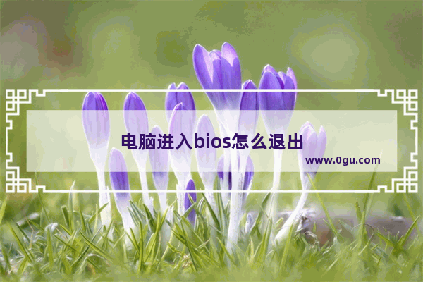 电脑进入bios怎么退出