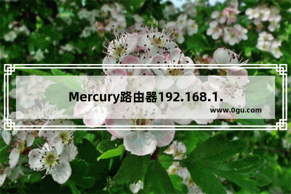 Mercury路由器192.168.1.1打不开怎么解决