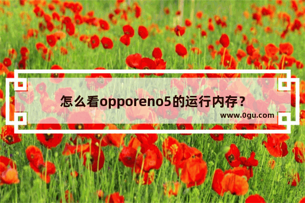 怎么看opporeno5的运行内存？