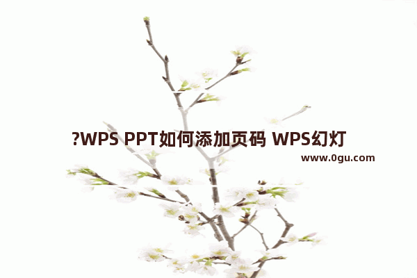 ?WPS PPT如何添加页码 WPS幻灯片添加页码的方法教程