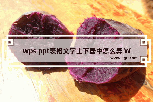 wps ppt表格文字上下居中怎么弄 WPS PPT设置表格文字上下居中对齐的方法