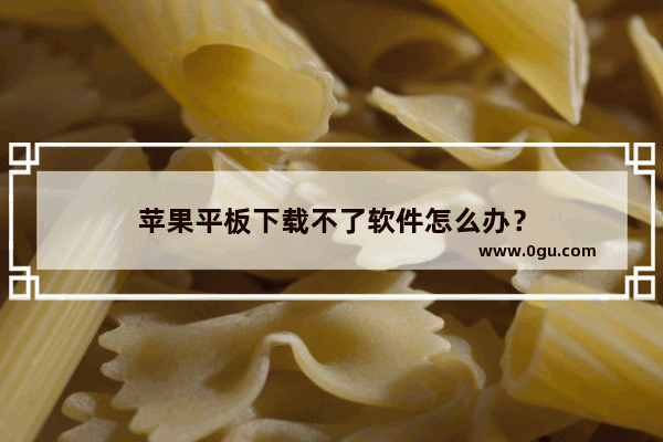 苹果平板下载不了软件怎么办？