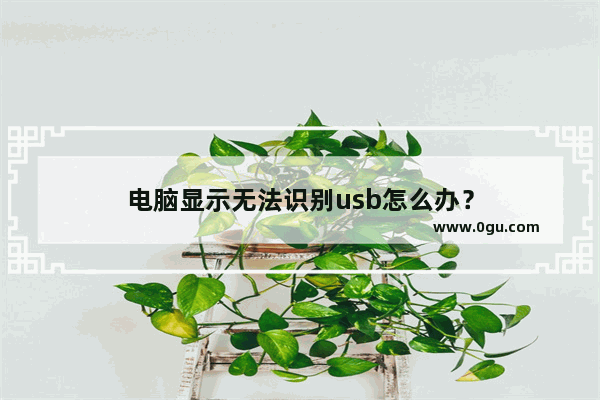 电脑显示无法识别usb怎么办？