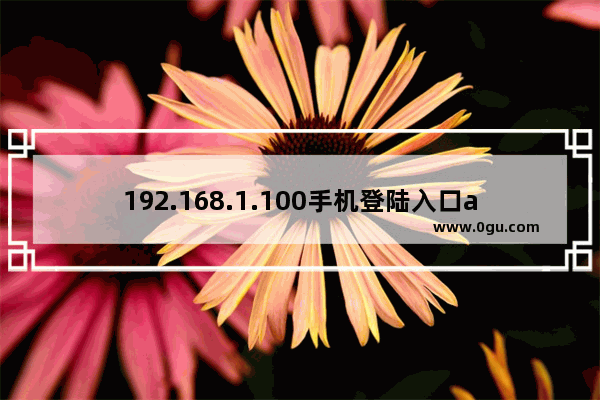 192.168.1.100手机登陆入口admin