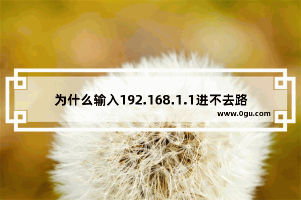 为什么输入192.168.1.1进不去路由器