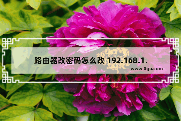 路由器改密码怎么改 192.168.1.1路由器设置密码教程