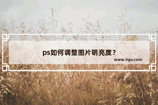 ps如何调整图片明亮度？