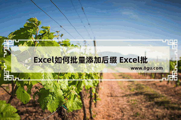 Excel如何批量添加后缀 Excel批量添加后缀的方法