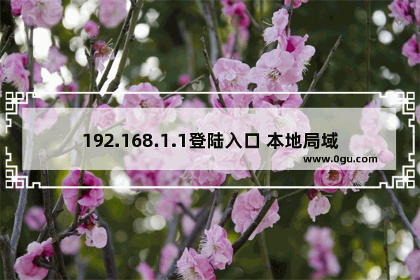 192.168.1.1登陆入口 本地局域网进入