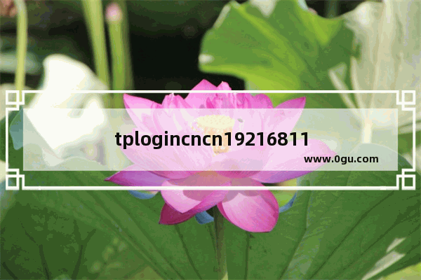 tplogincncn19216811