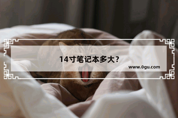 14寸笔记本多大？