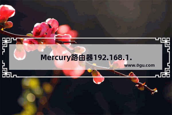 Mercury路由器192.168.1.1打不开