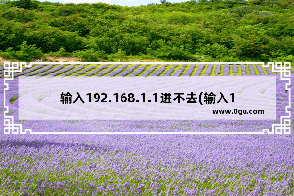 输入192.168.1.1进不去(输入192.168.124.1无法进入路由器)