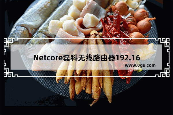 Netcore磊科无线路由器192.168.1.1打不开的解决方法