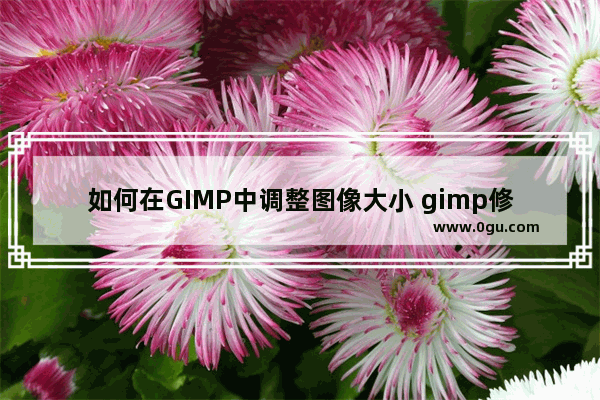 如何在GIMP中调整图像大小 gimp修改图片大小的方法