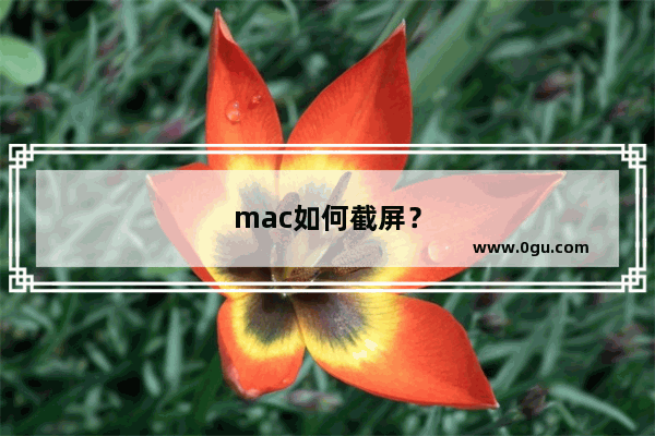 mac如何截屏？