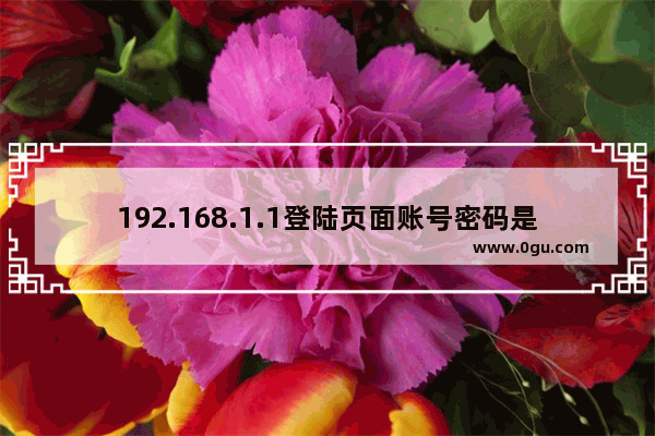 192.168.1.1登陆页面账号密码是什么?(192.168.1.1登录页面账号的密码是什么？)