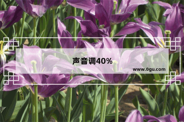 声音调40%