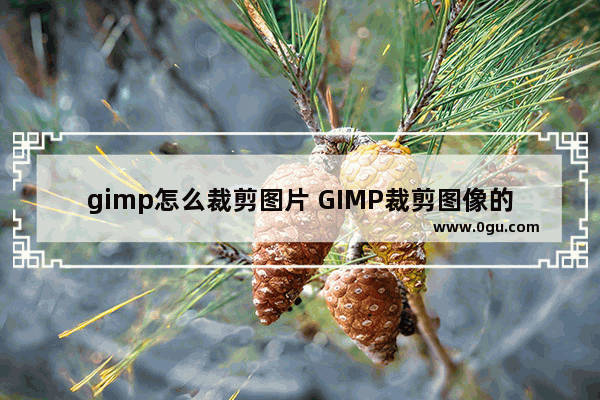 gimp怎么裁剪图片 GIMP裁剪图像的方法