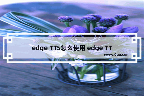 edge TTS怎么使用 edge TTS的使用方法