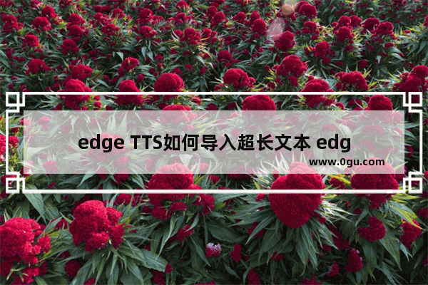 edge TTS如何导入超长文本 edge TTS导入超长文本的方法