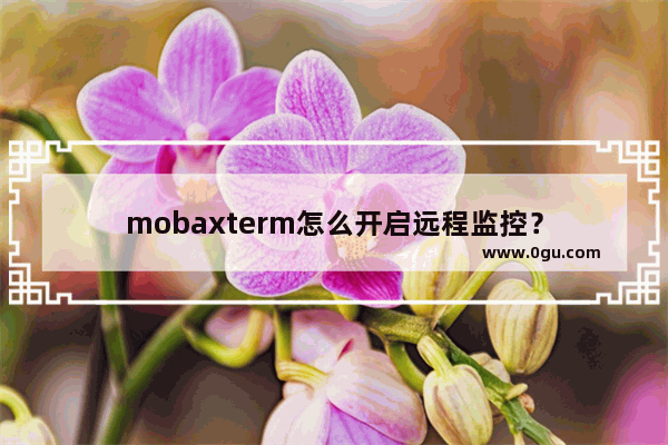 mobaxterm怎么开启远程监控？