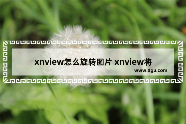 xnview怎么旋转图片 xnview将图片旋转90度的方法