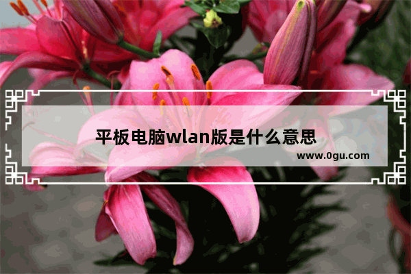 平板电脑wlan版是什么意思