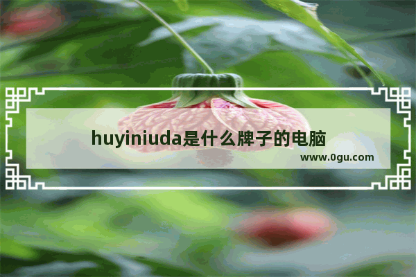 huyiniuda是什么牌子的电脑