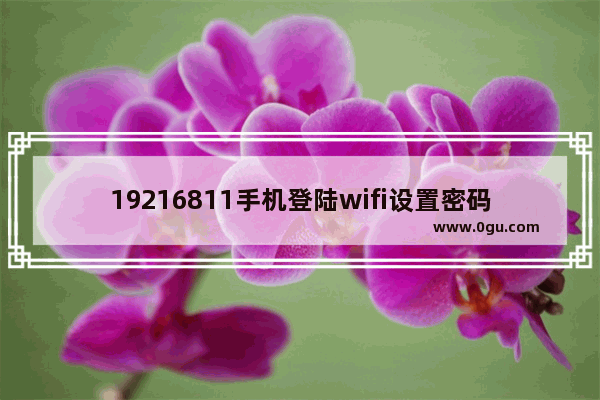 19216811手机登陆wifi设置密码(1921681128手机登陆wifi设置密码)