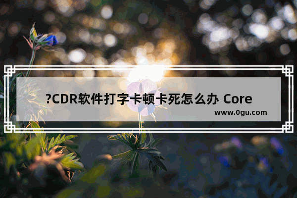 ?CDR软件打字卡顿卡死怎么办 CorelDRAW解决打字很卡的方法教程