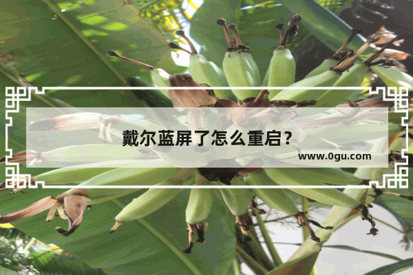 戴尔蓝屏了怎么重启？