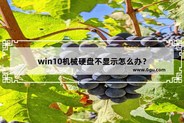 win10机械硬盘不显示怎么办？