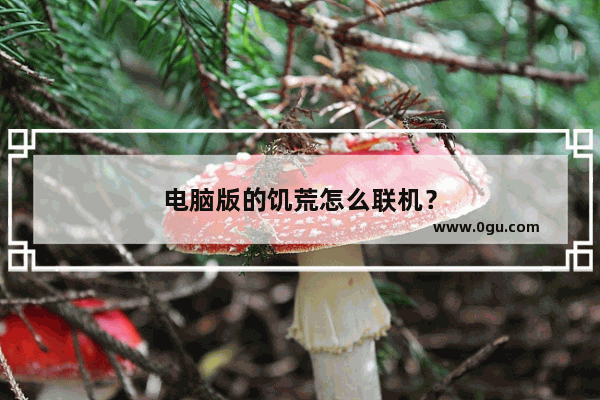 电脑版的饥荒怎么联机？